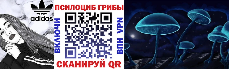 Галлюциногенные грибы MAGIC MUSHROOMS Петровск